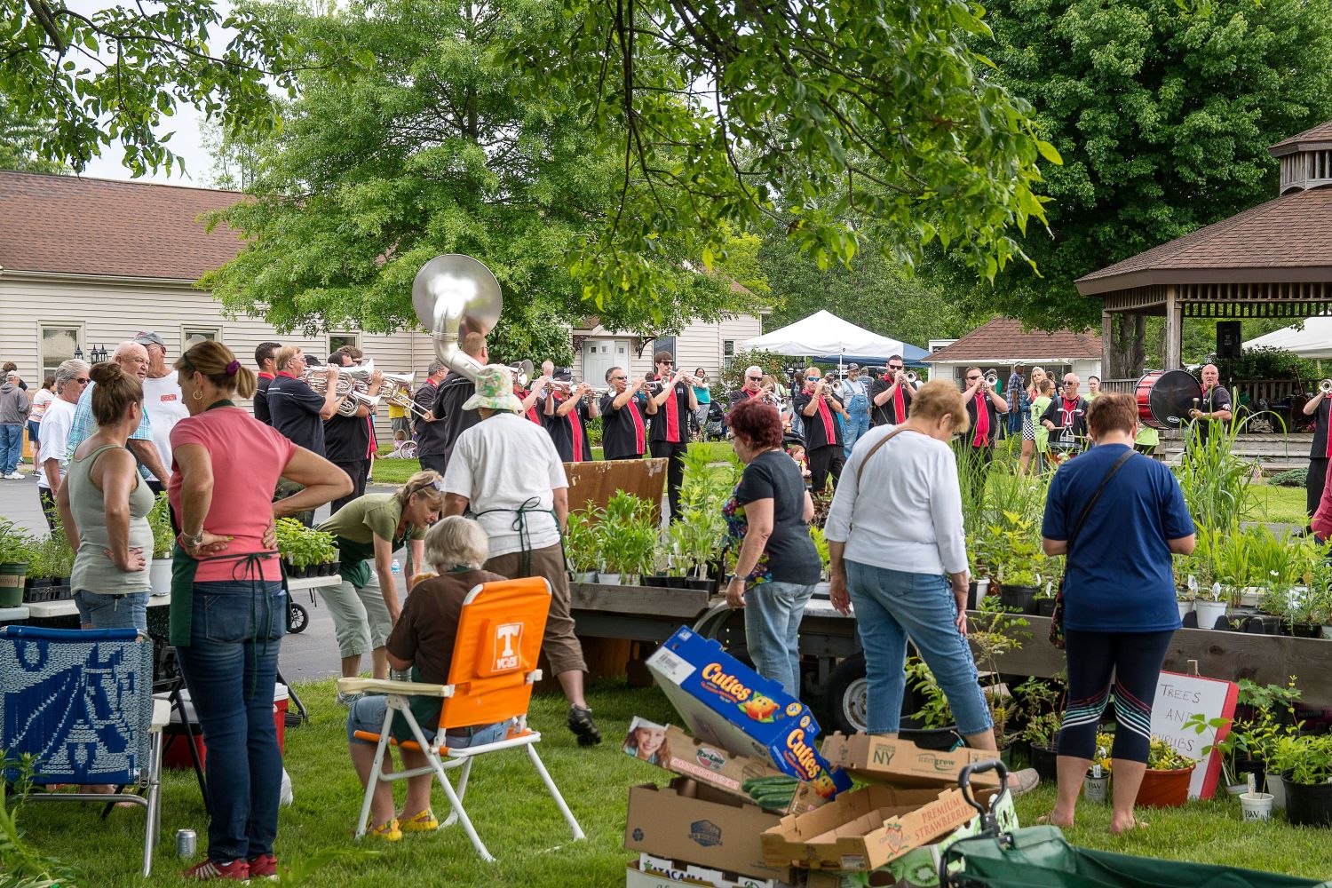 Ransomville Hamlet With Heart Ransomville Hamlet With Heart